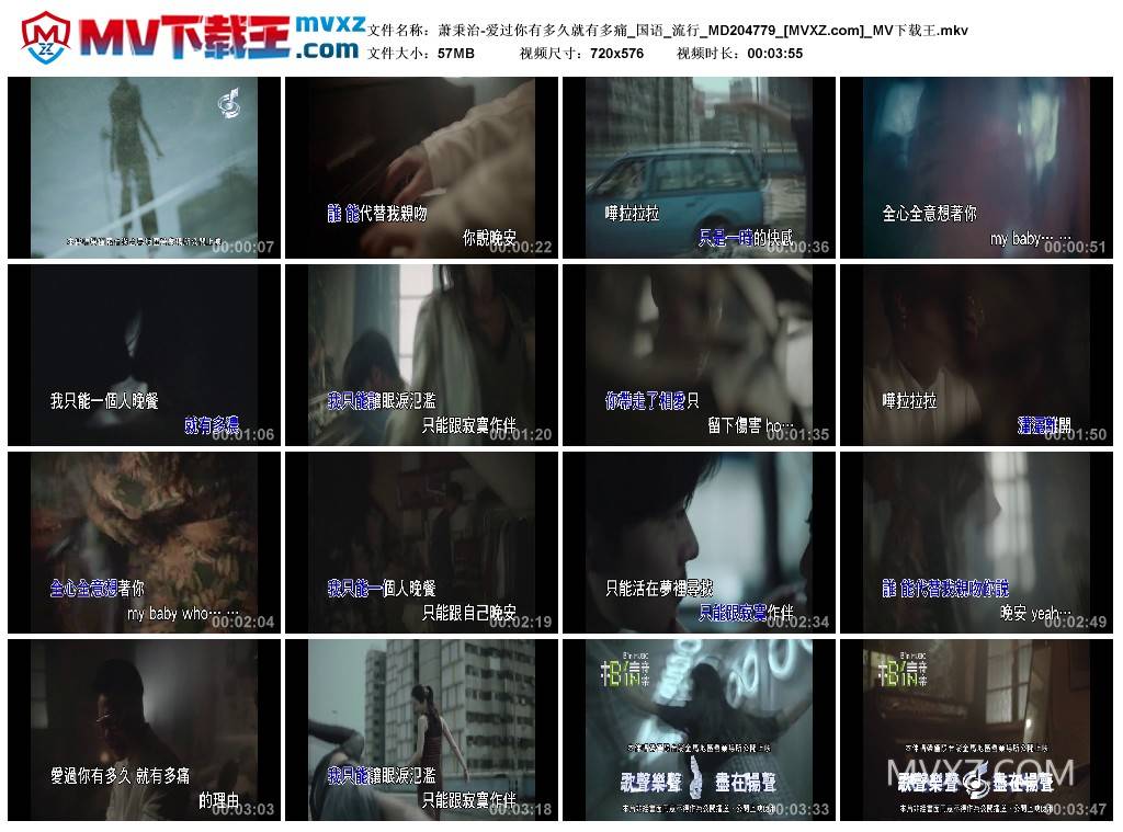 萧秉治-爱过你有多久就有多痛_国语_流行_MD204779